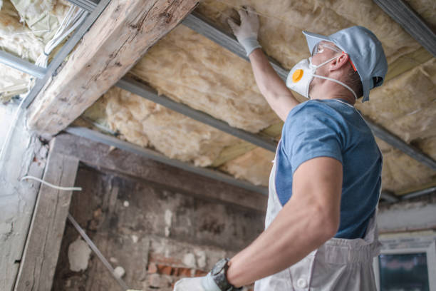  , USA Insulation Installation & Removal Pros